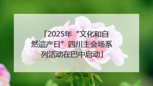 2025年“文化和自然遗产日”四川主会场系列活动在巴中启动