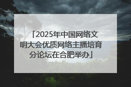 2025年中国网络文明大会优质网络主播培育分论坛在合肥举办