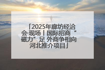 2025年廊坊经洽会·现场丨国际招商“磁力”足 外商争相向河北推介项目