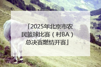 2025年北京市农民篮球比赛（村BA）总决赛燃情开赛