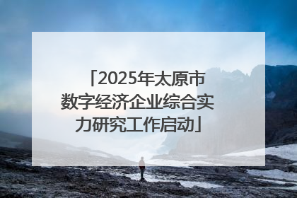 2025年太原市数字经济企业综合实力研究工作启动