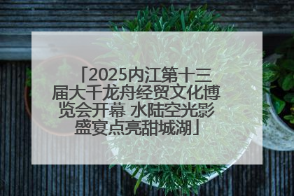 2025内江第十三届大千龙舟经贸文化博览会开幕 水陆空光影盛宴点亮甜城湖