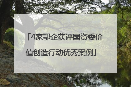4家鄂企获评国资委价值创造行动优秀案例