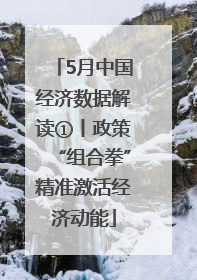 5月中国经济数据解读①丨政策“组合拳”精准激活经济动能