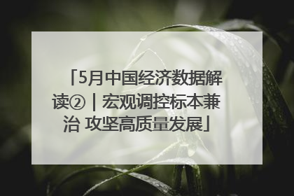 5月中国经济数据解读②｜宏观调控标本兼治 攻坚高质量发展