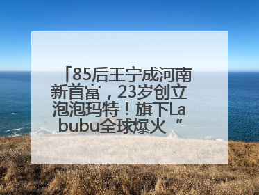 85后王宁成河南新首富，23岁创立泡泡玛特！旗下Labubu全球爆火“一娃难求”