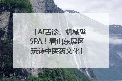 AI舌诊、机械臂SPA！看山东展区玩转中医药文化