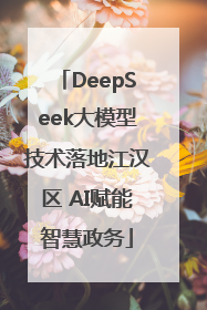 DeepSeek大模型技术落地江汉区 AI赋能智慧政务