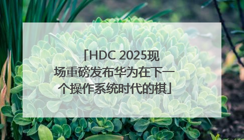 HDC 2025现场重磅发布华为在下一个操作系统时代的棋