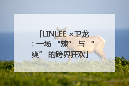LINLEE ×卫龙：一场 “辣” 与 “爽” 的跨界狂欢