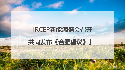 RCEP新能源盛会召开 共同发布《合肥倡议》